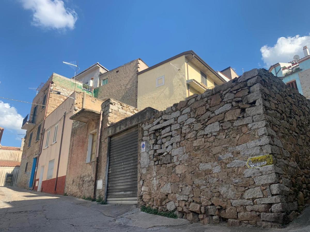 Orgosolo B&B Sardegna 外观 照片