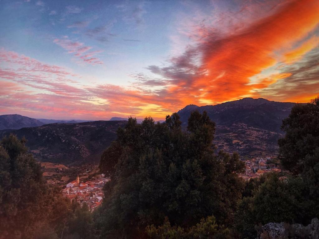 Orgosolo B&B Sardegna 外观 照片