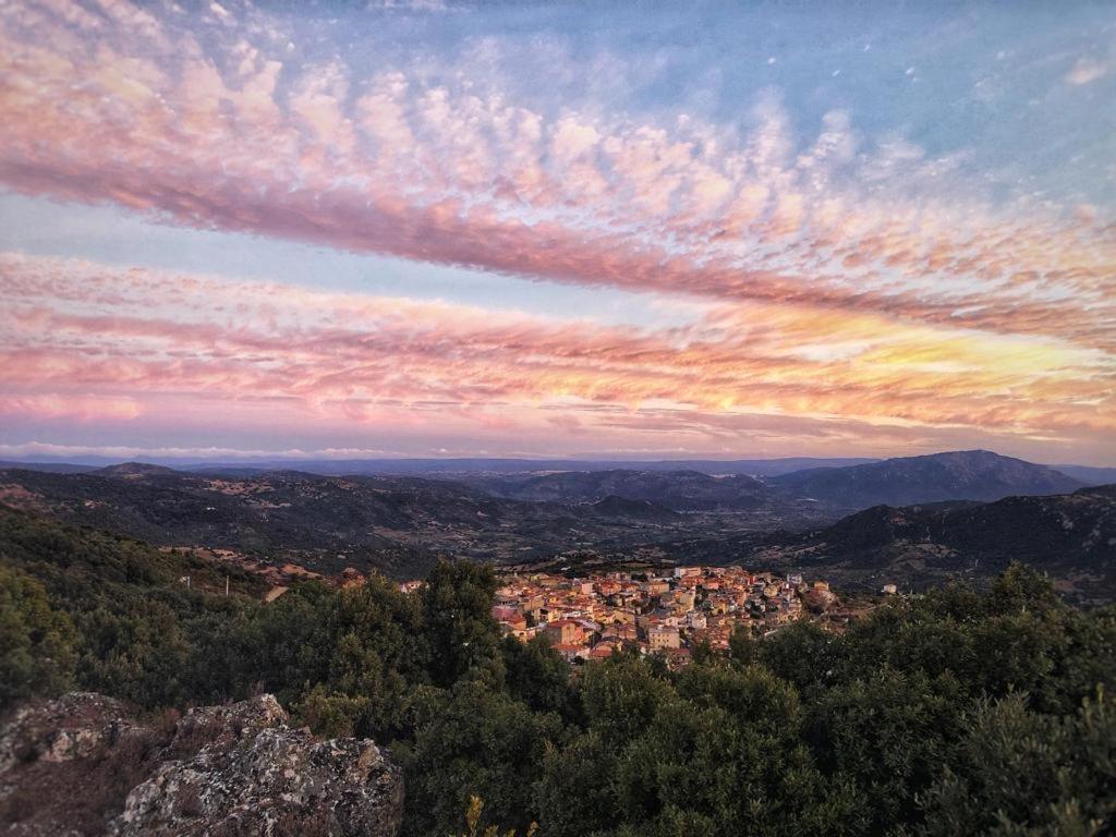 Orgosolo B&B Sardegna 外观 照片