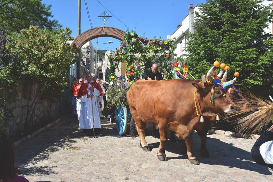 Orgosolo B&B Sardegna 外观 照片